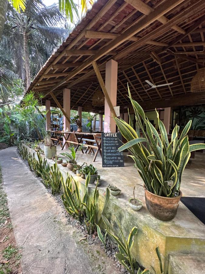 Dreamtime Sri Lanka Hotel Hikkaduwa Buitenkant foto