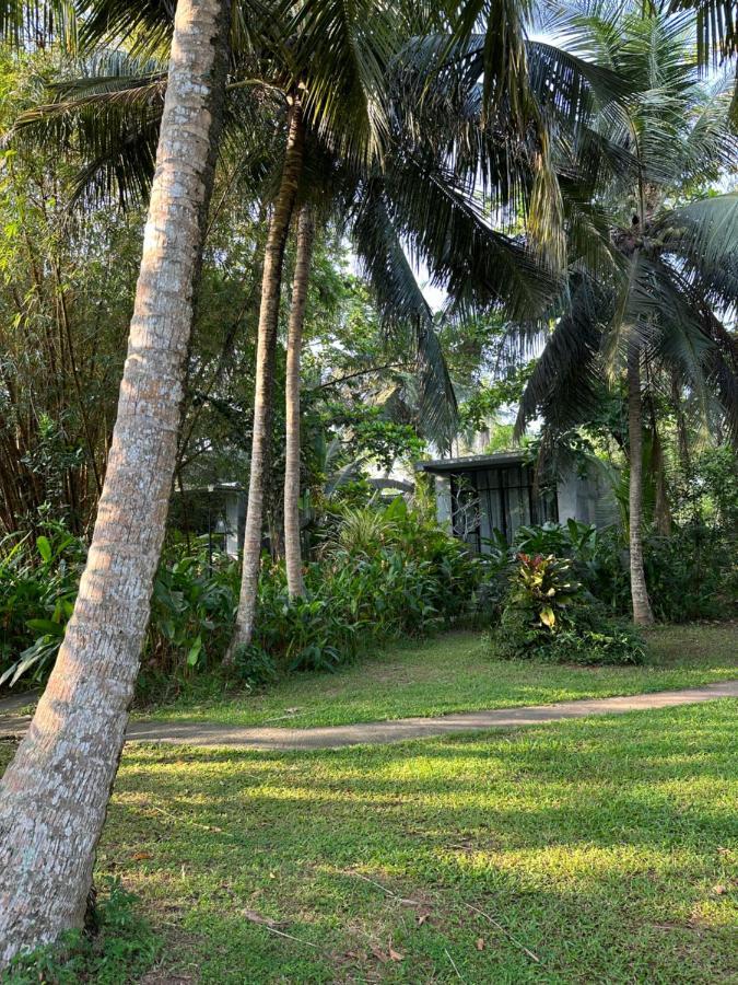Dreamtime Sri Lanka Hotel Hikkaduwa Buitenkant foto