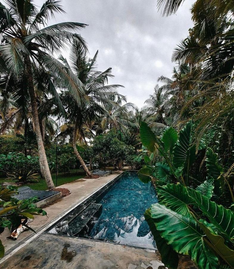 Dreamtime Sri Lanka Hotel Hikkaduwa Buitenkant foto