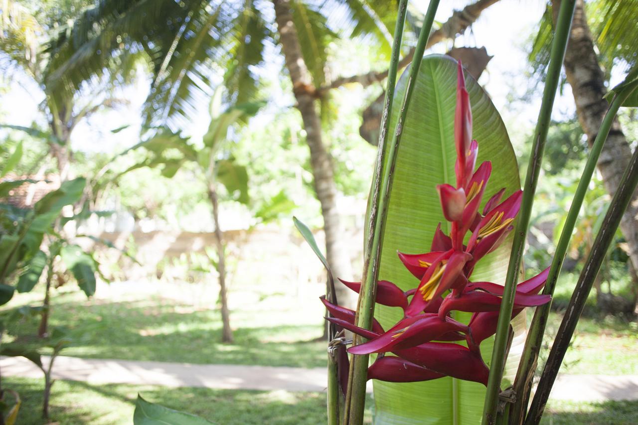Dreamtime Sri Lanka Hotel Hikkaduwa Buitenkant foto